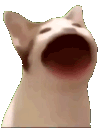 m_cat_bop animated GIF emoji from Unsupervised Adults ¹⁸⁺
