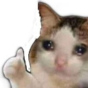 sob custom emote from The Lohengram Empire