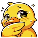 DuckyShy