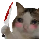 50886catstab