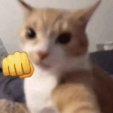 cattopucnh Discord sticker from The Lohengram Empire