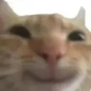 emoji_54