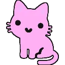 lucycat