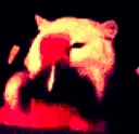 catcoke