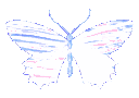 butterfly_holo animated GIF emoji from The Litter Box