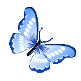 butterfly_blue animated Discord emote | The Litter Box