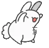 hypebunnyq