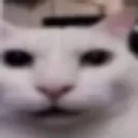 mylivereaction
