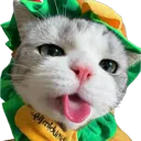 bleh