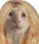 regina