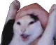 wahoo