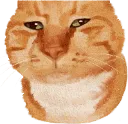 8_