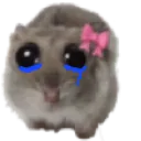 saad3r4