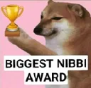 1x_nibbi_award