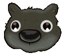 WombatSplosion