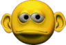 joebigears