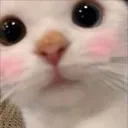 emoji_33