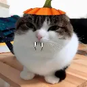 OhTheCreepery