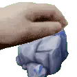 palium_pat