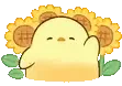 hello_hi hello_hi