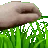 TouchGrass