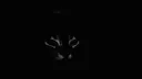 horror_ponder