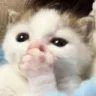 gasp gasp