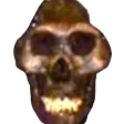 skull