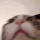 CatAngry