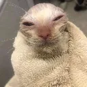 cozy