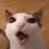 eated