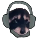 racoonprimal