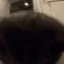 nyaboop