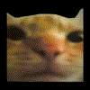 :catsplode:
