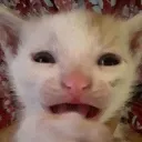 desespero