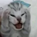 wa