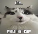 ermwhatthefish