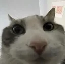 ermsk