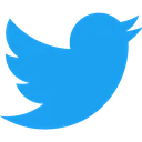 twitter twitter