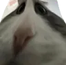 1297308570320244859