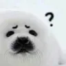 SC2_Seal_confused
