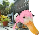 duckastolfo