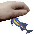 lnuf_pat