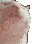 Cat_JAM