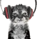 catnotL catnotL