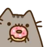 DonutCat