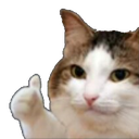 okcat custom emote | Clippends Community・Chill・Fun・Friendly・Anime・Gaming・GTA・Roleplay・VC・Friends・Nice・Group・Chat・Members