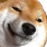 DogeSmug