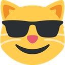 :sunglasses_cat:
