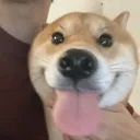 bleh bleh